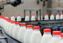 Минсельхоз: Два кыргызских молокозавода смогут возобновить экспорт продукции в Россию