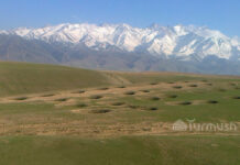 Туристы наткнулись на загадочные круги на полях близ Бишкека