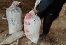 У жителя Токтогула в сарае нашли 25 кг марихуаны