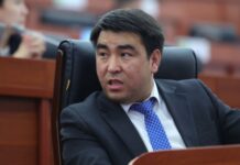 «Свободу животным!» Депутат предложил закрыть все цирки и зоопарки в стране