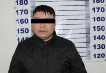 Нарын ОИИБ: бир нече алдамчылык фактысына шектүү жаран кармалды