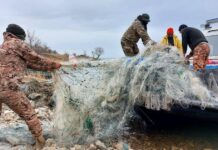 Ысык-Көлдөн 2 миң тоннадан ашык таштанды чыгарылды