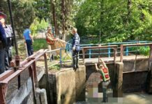 В Оше в канале нашли тело мужчины