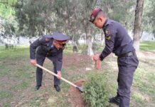 ИИМдин жетекчилиги “Жашыл мурас” өнөктүгүнүн алкагында көрктөндүрүү иш-чарасына катышууда