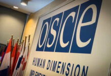 В ПА ОБСЕ обеспокоены последними событиями в Кыргызстане