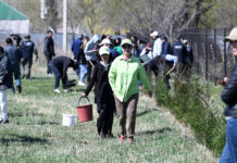 В столичном парке появилась аллея «Свободы слова» — фото