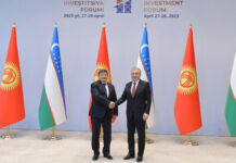 Акылбек Жапаров встретился с Шавкатом Мирзиёевым. Что обсудили