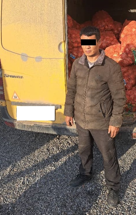 885c2631 d99b 4ccf a11d d8c93b5356d1 Кыргызстанцы пытались незаконно вывезти в Таджикистан 10,5 тонн лука