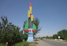 Кызыл-Кыя шаарында түн ичинде бир топ балдар унааларга таш ыргытышкан