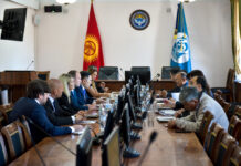 Чешские эксперты предложили меры по тушению пожара на бишкекской свалке