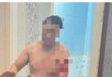 Өмүрүнө кол салган жаран куткарылды