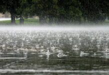 ӨКМ сел жүрүү коркунучуна байланыштуу чукул билдирүү таратты