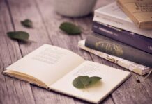 2-апрель — Эл аралык жаш жеткинчектердин китеп күнү