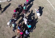 Көк бөрү учурунда жердеги адамды аттар менен тебелеп кетишти