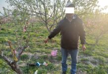 Кадамжайда тескөөчү “марихуана” колдонуп жаткан кишини кармаган