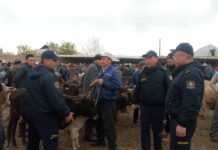 Кызыл-Кыяда милициянын демилгеси менен видеобайкоолор орнотулууда