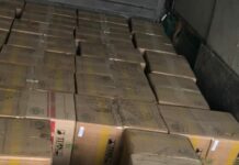 Баткенде жаран документтери жок 116 куту, 174 миң даана дарыларды ташып баратканда кармалды