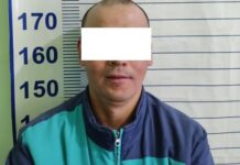 Мурда бир нече жолу соттолгон жаран тоноочулукка шектелип кармалды