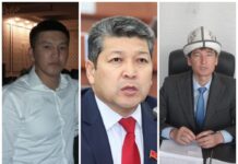 Фактчек: аудио сүйлөшүүдөгү 5 гектар жер Жамалдиновдун инисине таандык