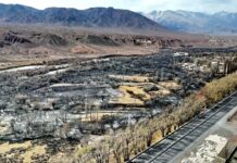 Боомдогу өрттөн кийинки сүрөттөр жарыяланды