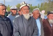 ДТП со школьным автобусом. Жители села Лесное обратились к президенту