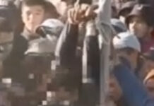 Мал базардагы уурулук: экинчи шектүү кармалды