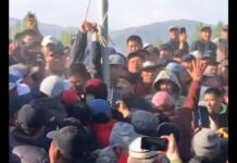 В Таласе на скотном рынке жители устроили самосуд над вором