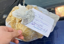 В Таш-Кумыре задержали бывшего силовика с крупной партией гашиша — видео