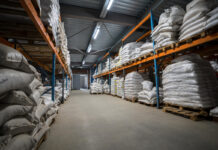 Россельхознадзор выявил ГМО в семенах кукурузы из Кыргызстана