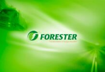 В компании Forester прошли обыски, задержан директор