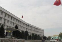 Ош шаардык мэриясынын кеңешчи менен жашылдандырууга жаңы кызматкерлер дайындалды