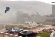 Катуу жаандан улам Адана шаарында сел жүрдү