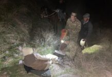 Спасатели спустили с горы туристку, которая сломала ногу