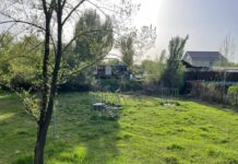 Бишкекте жаңы гүлбакча курулат