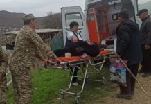 Баткенде тоодон бутун сындырып алган жаран куткарылды