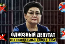 Одиозный депутат и ее скандальные инициативы