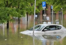 ТИМ: Италияда селден жабыркаган кыргызстандык жок