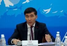 Комитет ЖК одобрил поправки в закон о фейках