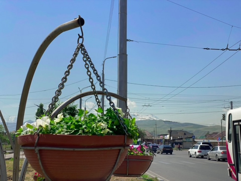 1684411962 1 На одной из улиц Бишкека установили "цветочные фонтаны"
