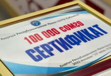 ВПП ООН рекомендует использовать соцконтракт и в других странах на примере Кыргызстана