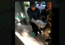 Атышууда эки-күч кызматкер жарадар болду, – видео