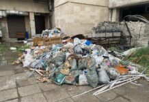 Бишкек мэриясы бир катар жогорку окуу жайларга жана ишканаларга 325 миң сом айып салды