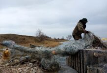 Загрязнение Иссык-Куля. В кабмине предлагают переходить с пластика на бумагу