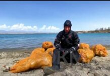 Президент: “өзүбүз булгайбыз дагы анан бийликтен тазалыкты балакеттей талап кылабыз”