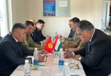 Кыргызстан и Таджикистан договорились не использовать беспилотники на границе