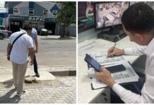 Бишкекчанина оштрафовали на 5 500 сомов за вырубку дерева