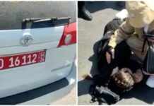В Новопавловке машина с дипномерами сбила школьницу на «зебре» — видео