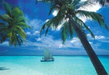 Кыргызстан менен Мальдивдин жарандары 30 күнгө чейин визасыз жүрө алышат