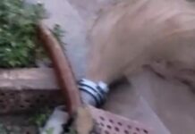 Ошто суу каптаган турак үйдүн жер төлөөсүн тазалоо иштери жүрүүдө