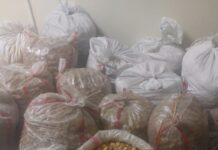 Баткенде аткезчилик жол менен өрүк ташып келүү аракети бөгөттөлдү